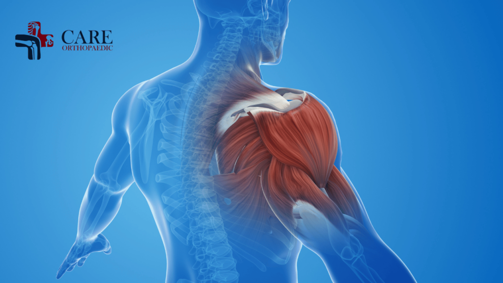 Shoulder Arthroscopy & Rotator Cuff Treatment 